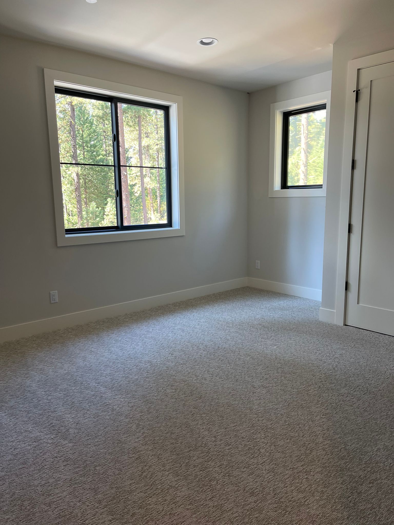 Professional Carpet Cleaning in Woodinville and Kirkland: What You Need to Know Before You Book